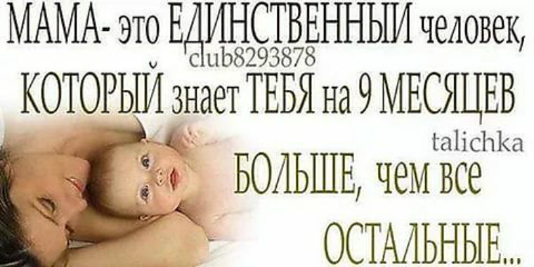 Как сделать шкаф-купе своими руками: инструкция от мастеров Как сделать софтбокс своими руками