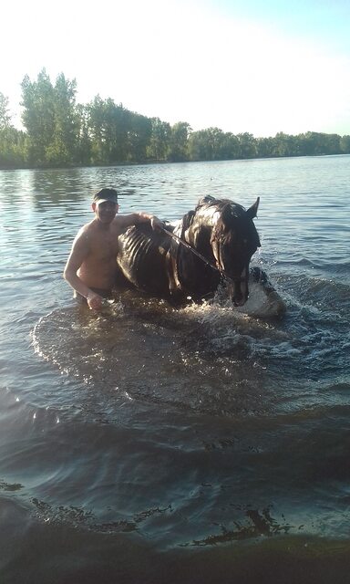 купания лошади