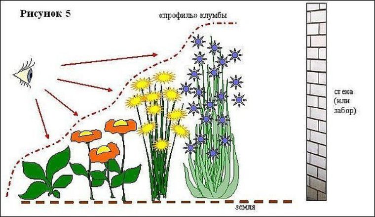 Схема посадки цветов в палисаднике для начинающих