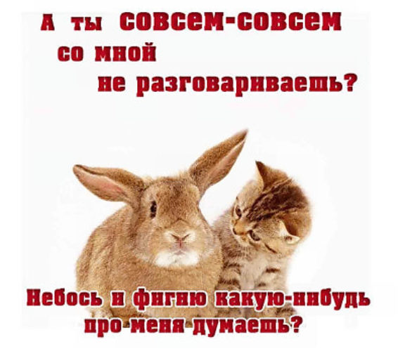 http://i2.tabor.ru/feed/2016-04-18/11493691/21253_760x500.jpg