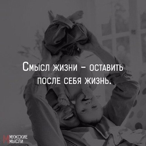 слива жидкости как найти свой смысл жизни стоит поесть