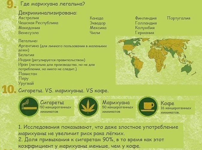 Страны где курят марихуану что растение конопля