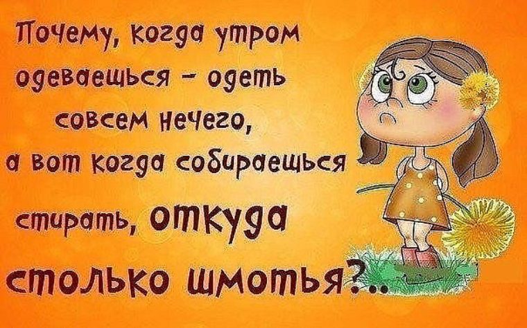 Утро надел. Цитаты про утро прикольные. Смешные утренние высказывания. Смешные афоризмы про утро. Поговорки про жизнь смешные.