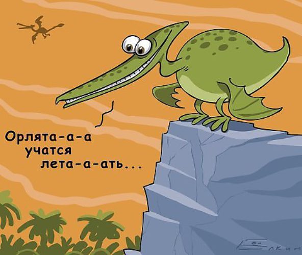 Птеродактиль смешные картинки