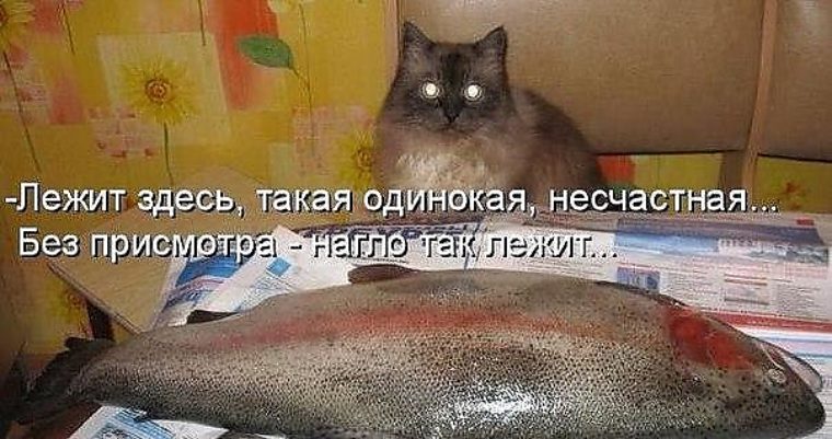 https://i2.tabor.ru/feed/2016-08-21/10919561/140016_760x500.jpg