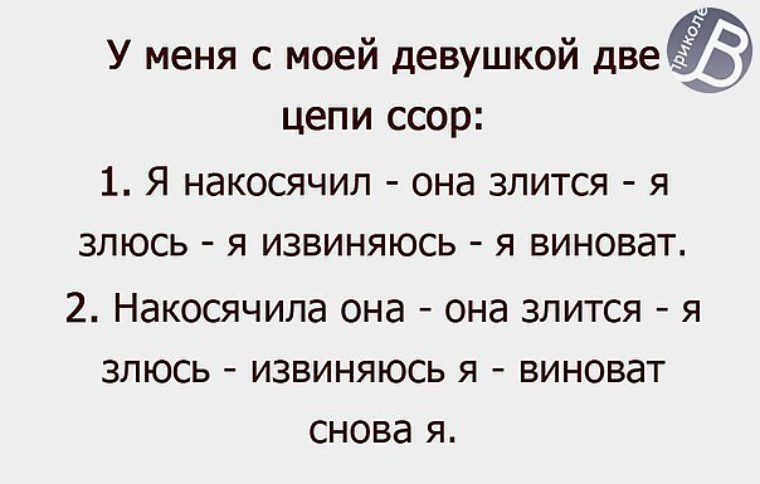 Прикольные картинки накосячила, днем кошек