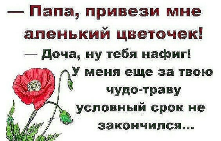 Аленький цветочек смешные картинки, днем