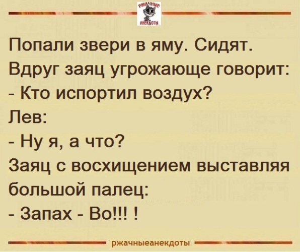 Анекдот про зайца из ну погоди. Один копает яму другой закапывает. Сидят в яме заяц лев. Анекдот про льва и яму. Анекдоты в яму попали.