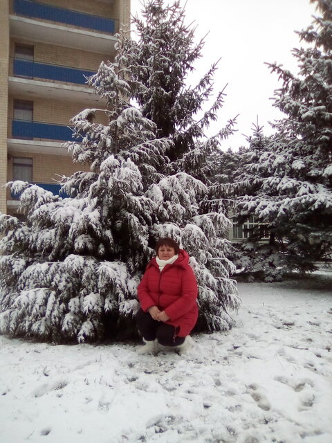 Фото - Tabor.ru