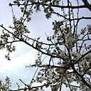 Знакомства: Незнакомка, 49 лет, Усть-Каменогорск