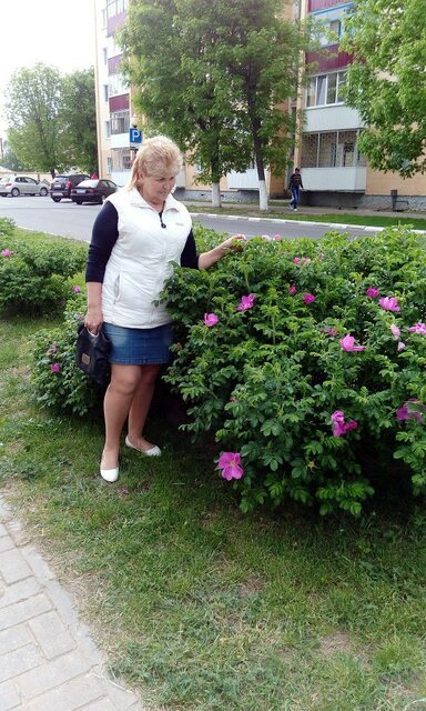 Фото - Tabor.ru