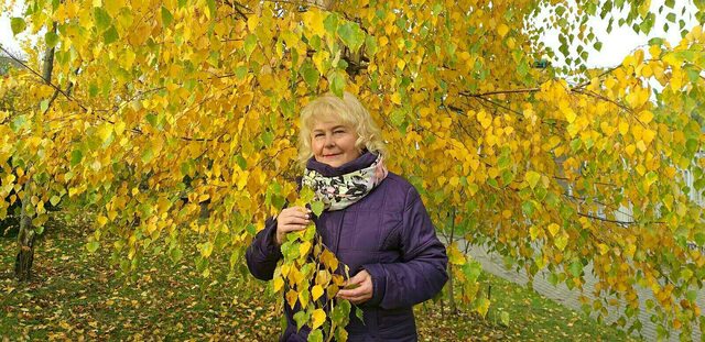 Фото - Tabor.ru